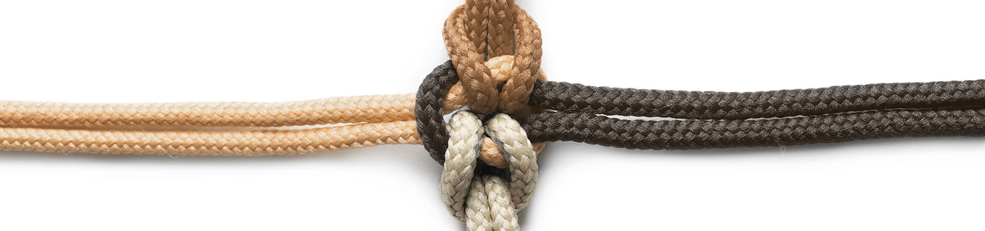 Colorful ropes tied together on white background. Unity concept