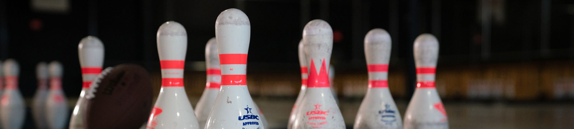 fowling-2000x450 fowling-2000x450